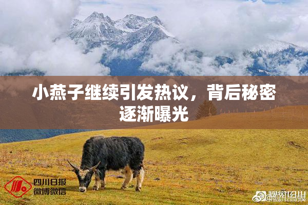 小燕子继续引发热议，背后秘密逐渐曝光
