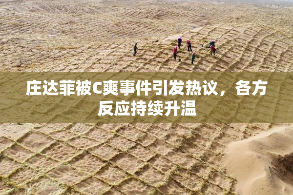 庄达菲被C爽事件引发热议，各方反应持续升温