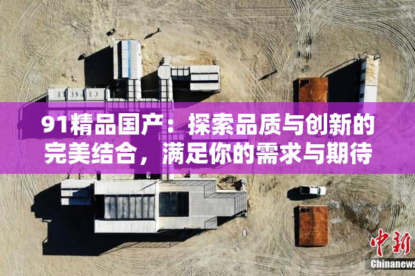 91精品国产：探索品质与创新的完美结合，满足你的需求与期待。