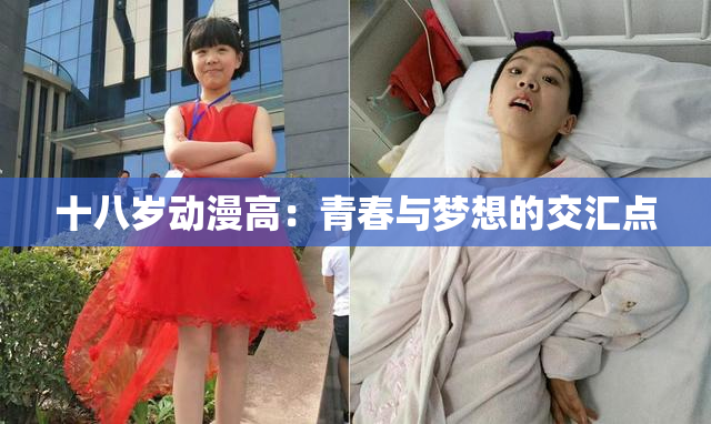 十八岁动漫高：青春与梦想的交汇点
