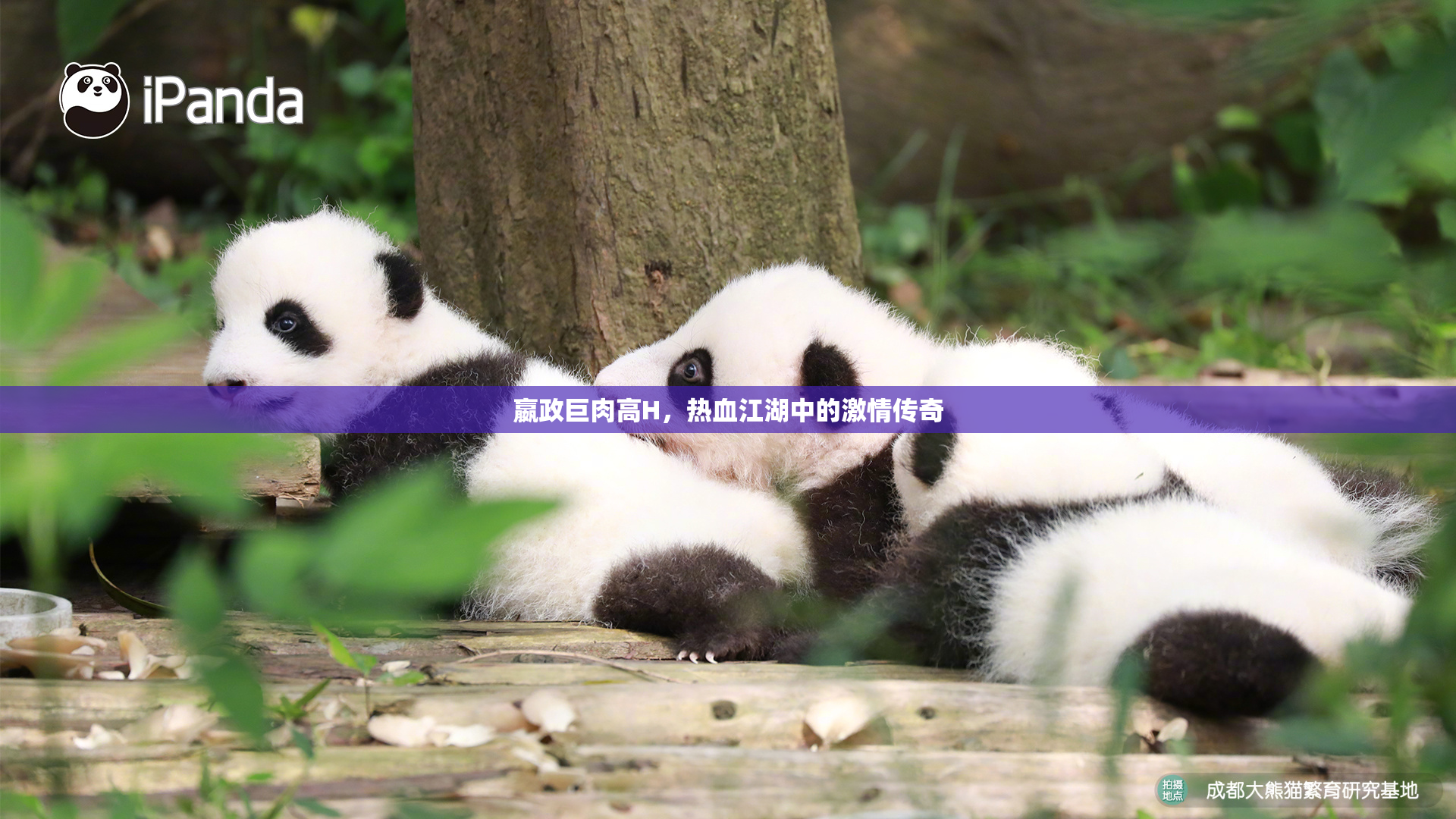 嬴政巨肉高H，热血江湖中的激情传奇