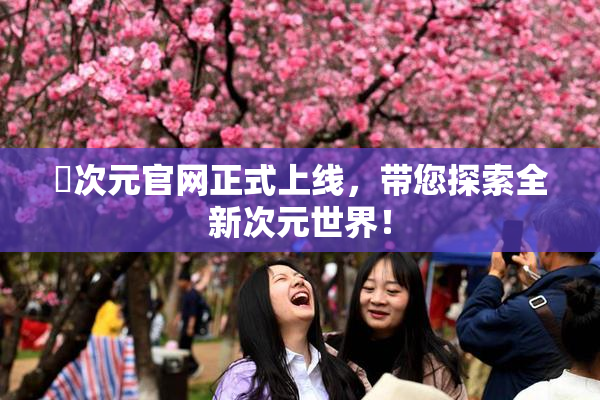 囧次元官网正式上线，带您探索全新次元世界！