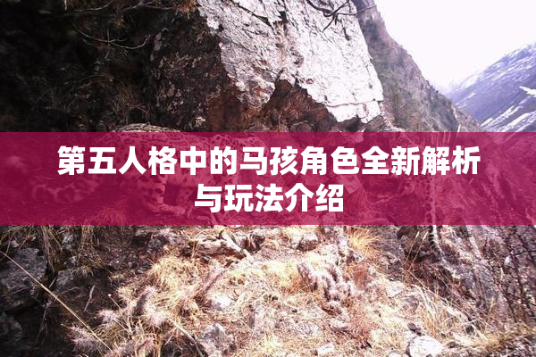 第五人格中的马孩角色全新解析与玩法介绍