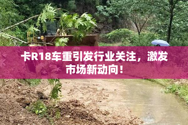 卡R18车重引发行业关注，激发市场新动向！