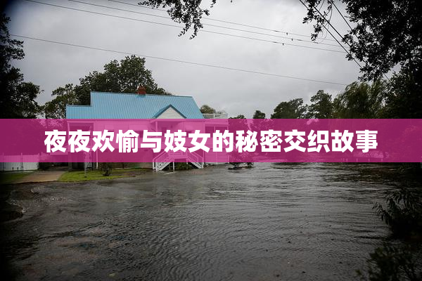 夜夜欢愉与妓女的秘密交织故事