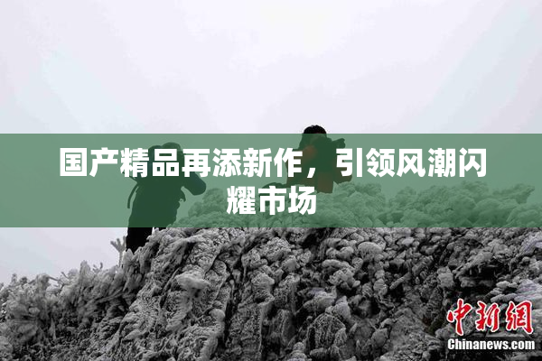 国产精品再添新作，引领风潮闪耀市场