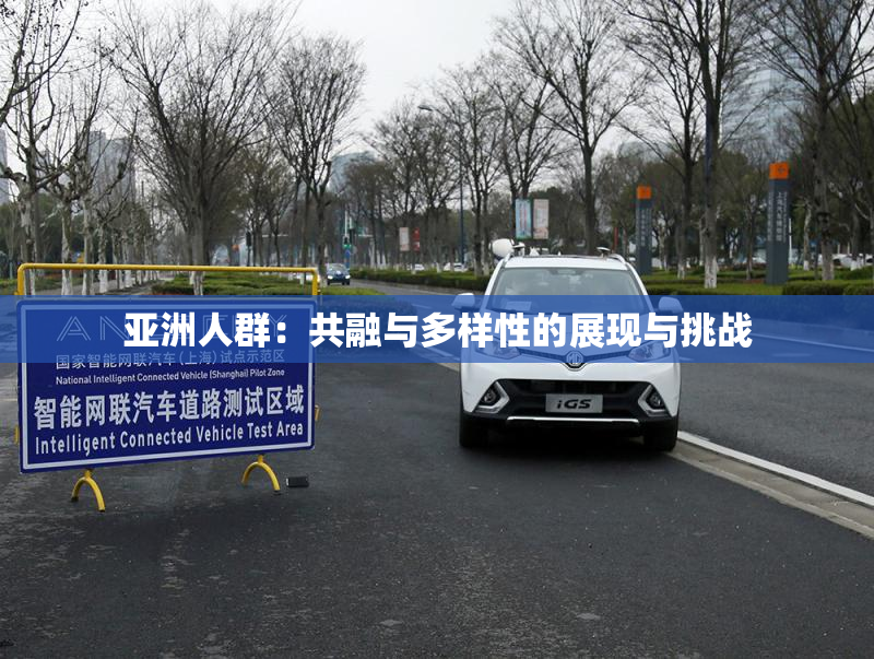 亚洲人群：共融与多样性的展现与挑战