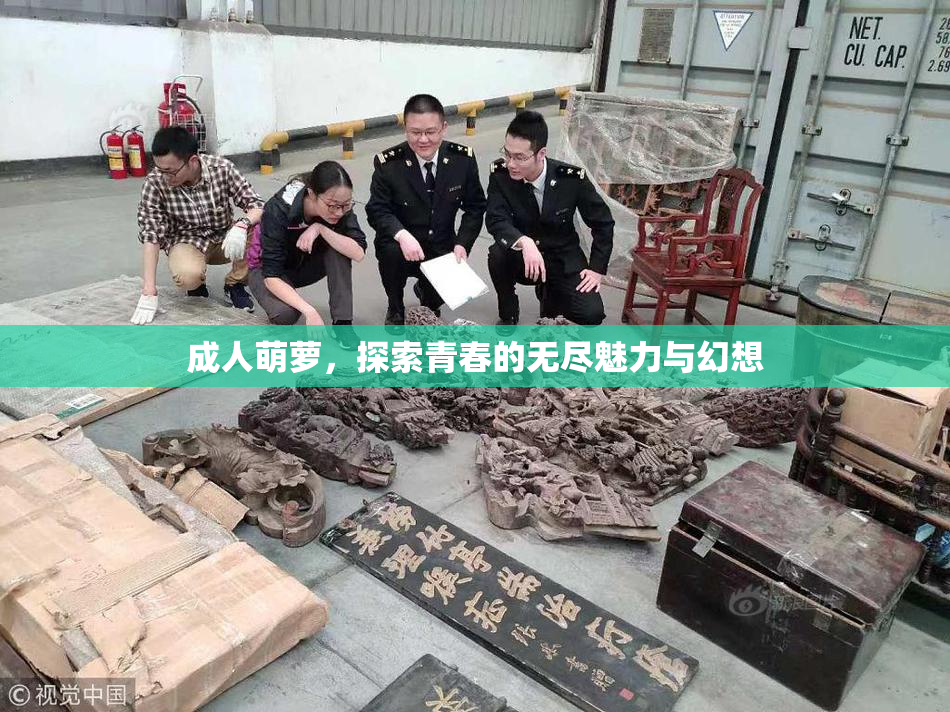 成人萌萝，探索青春的无尽魅力与幻想