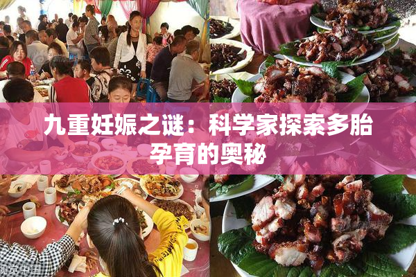 九重妊娠之谜：科学家探索多胎孕育的奥秘