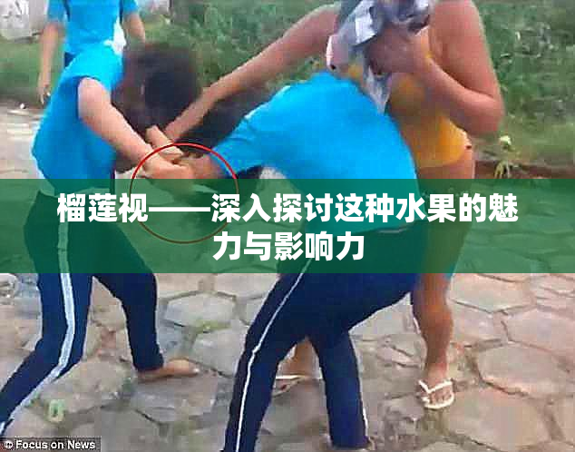 榴莲视——深入探讨这种水果的魅力与影响力