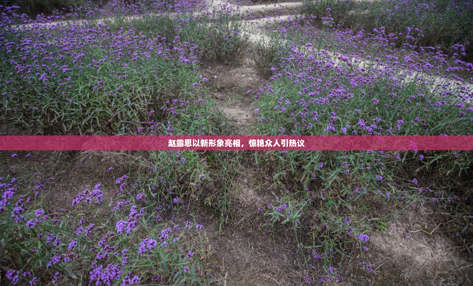 赵露思以新形象亮相，惊艳众人引热议