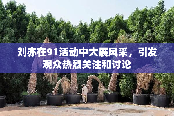 刘亦在91活动中大展风采，引发观众热烈关注和讨论