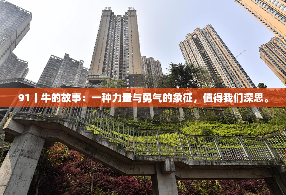 91丨牛的故事：一种力量与勇气的象征，值得我们深思。