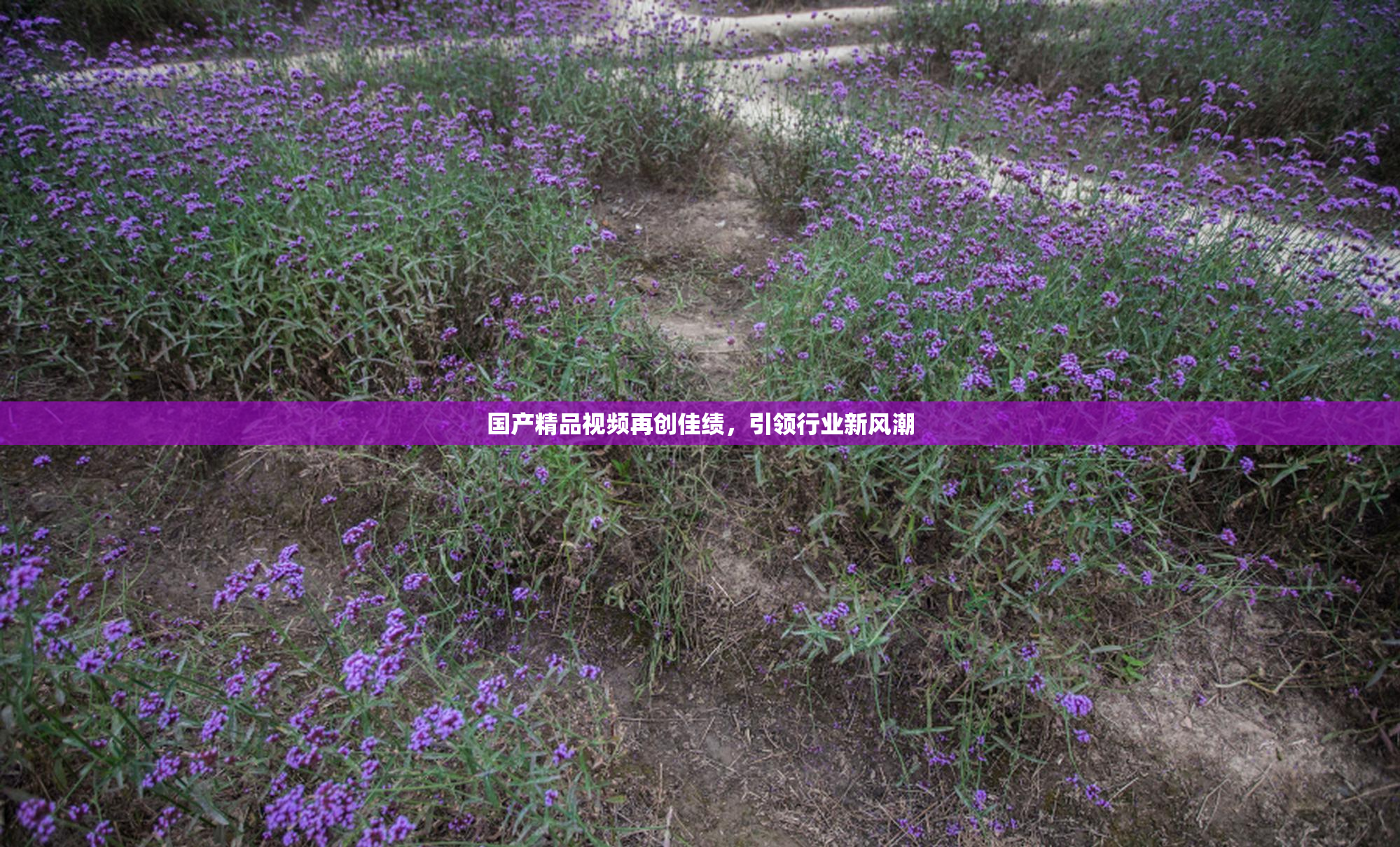 国产精品视频再创佳绩，引领行业新风潮