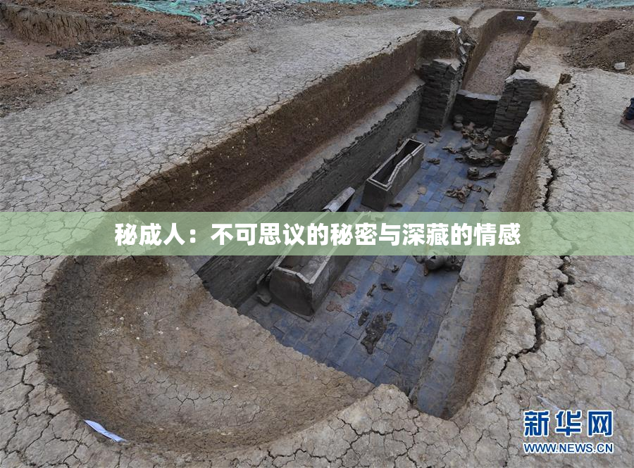 秘成人：不可思议的秘密与深藏的情感