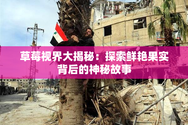 草莓视界大揭秘：探索鲜艳果实背后的神秘故事
