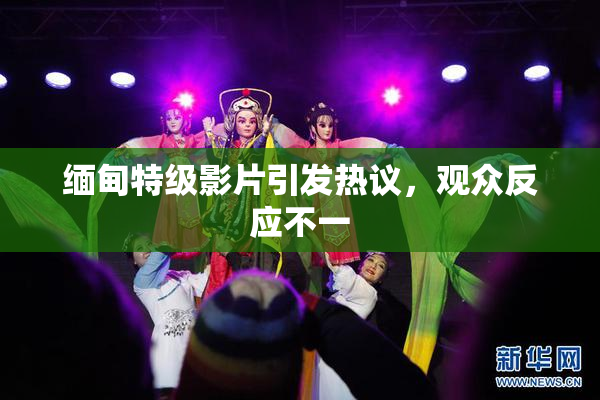 缅甸特级影片引发热议，观众反应不一