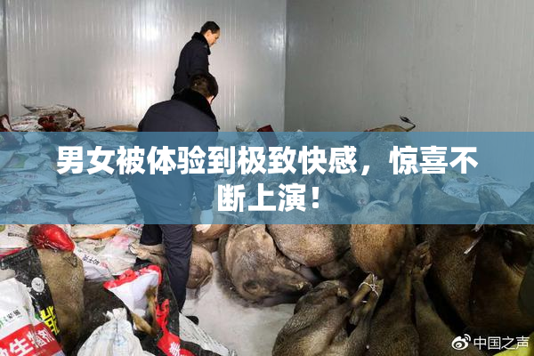 男女被体验到极致快感，惊喜不断上演！