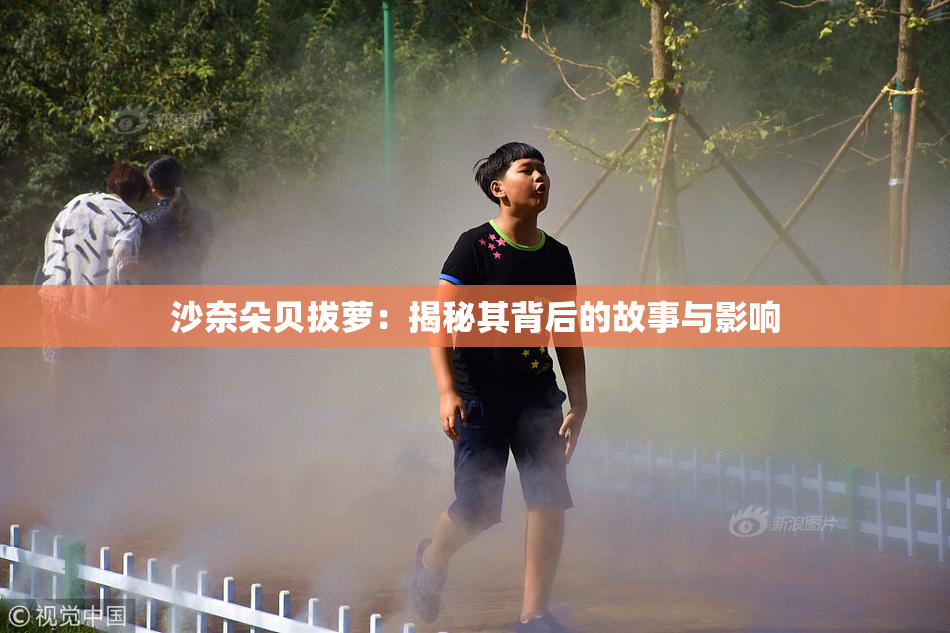 沙奈朵贝拔萝：揭秘其背后的故事与影响