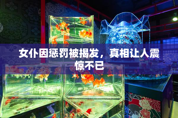 女仆因惩罚被揭发，真相让人震惊不已