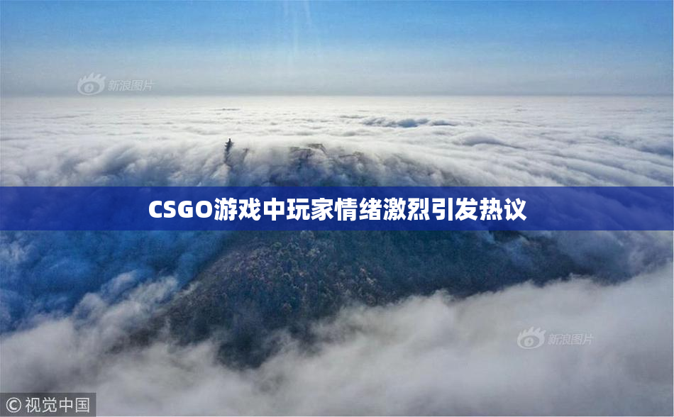 CSGO游戏中玩家情绪激烈引发热议