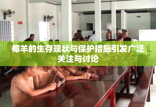椰羊的生存现状与保护措施引发广泛关注与讨论