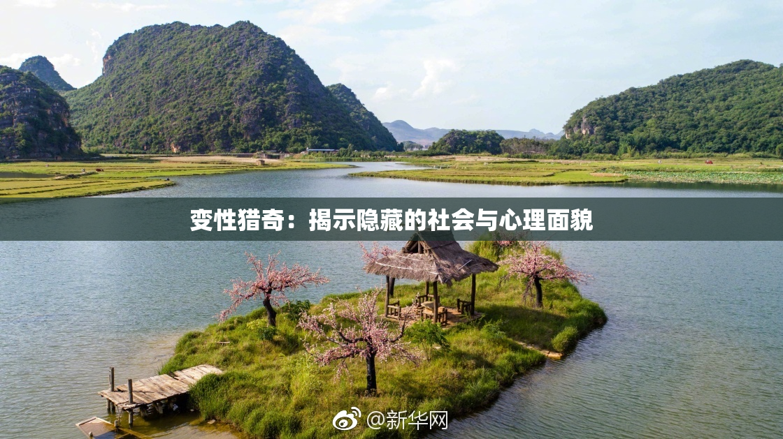 变性猎奇：揭示隐藏的社会与心理面貌