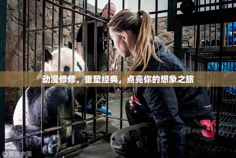 动漫修修，重塑经典，点亮你的想象之旅