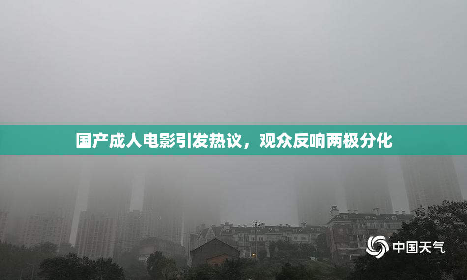 国产成人电影引发热议，观众反响两极分化