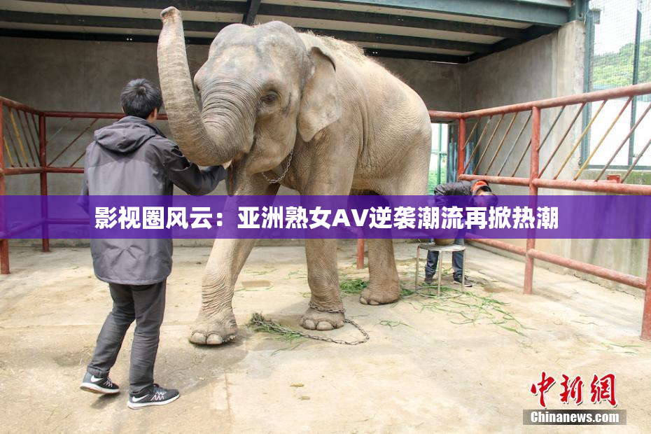 影视圈风云：亚洲熟女AV逆袭潮流再掀热潮