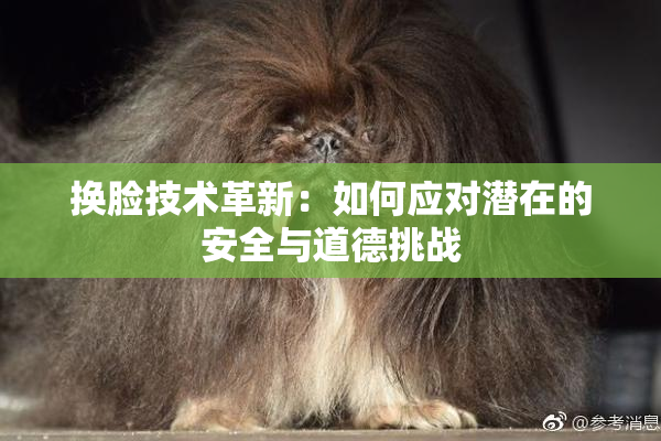 换脸技术革新：如何应对潜在的安全与道德挑战