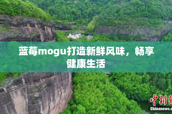 蓝莓mogu打造新鲜风味，畅享健康生活