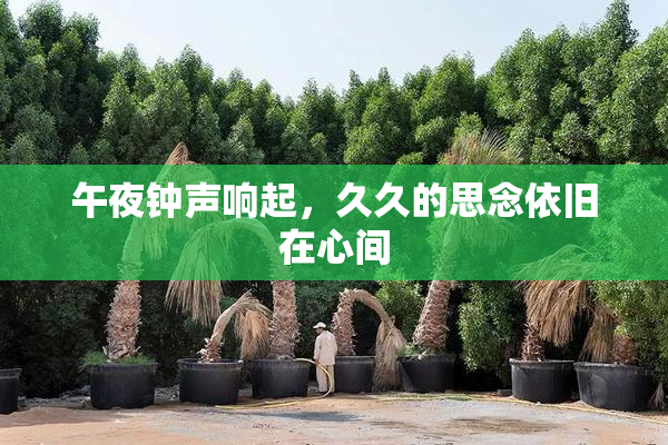 午夜钟声响起，久久的思念依旧在心间
