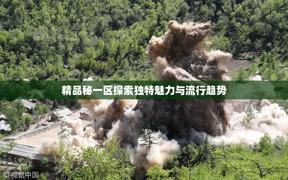 精品秘一区探索独特魅力与流行趋势