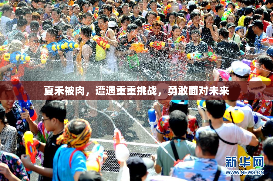 夏禾被肉，遭遇重重挑战，勇敢面对未来
