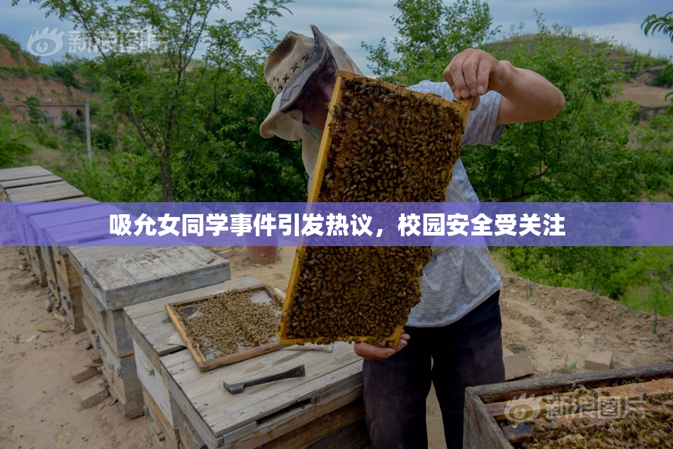 吸允女同学事件引发热议，校园安全受关注