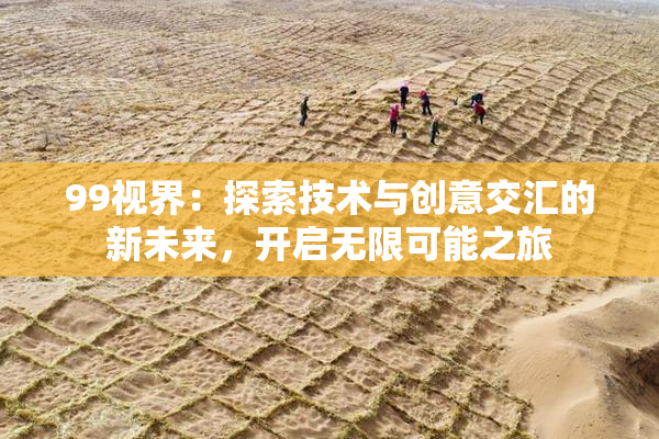 99视界：探索技术与创意交汇的新未来，开启无限可能之旅