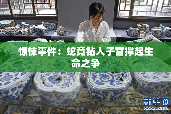 惊悚事件：蛇竟钻入子宫撑起生命之争