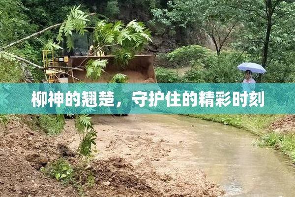 柳神的翘楚，守护住的精彩时刻