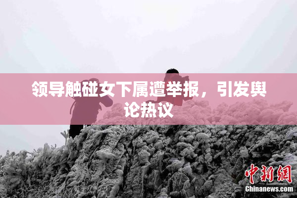领导触碰女下属遭举报，引发舆论热议