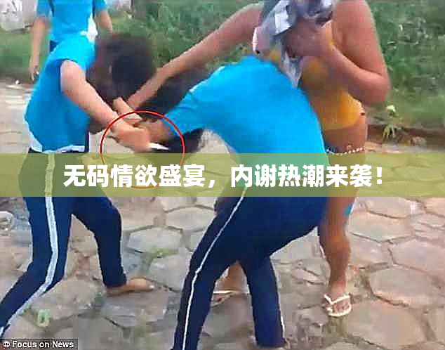 无码情欲盛宴，内谢热潮来袭！