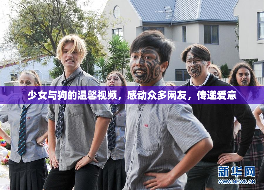 少女与狗的温馨视频，感动众多网友，传递爱意