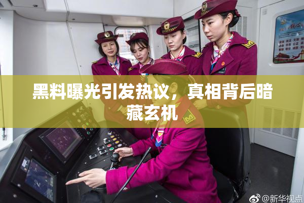 黑料曝光引发热议，真相背后暗藏玄机