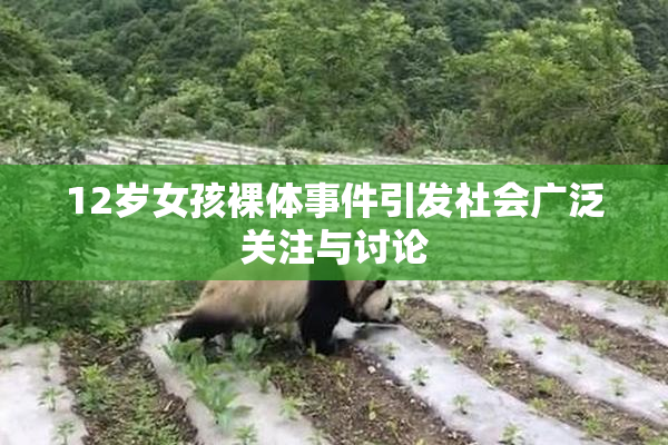 12岁女孩裸体事件引发社会广泛关注与讨论
