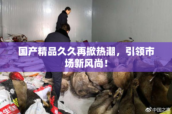 国产精品久久再掀热潮，引领市场新风尚！