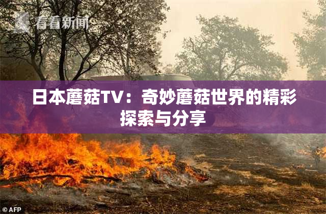 日本蘑菇TV：奇妙蘑菇世界的精彩探索与分享