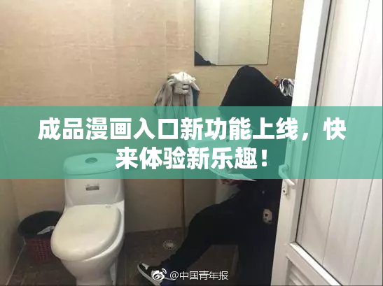 成品漫画入口新功能上线，快来体验新乐趣！