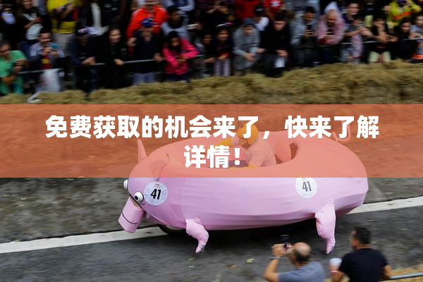免费获取的机会来了，快来了解详情！