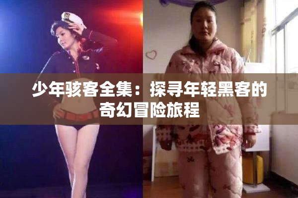 少年骇客全集：探寻年轻黑客的奇幻冒险旅程