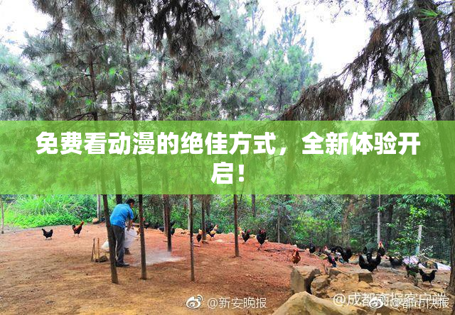 免费看动漫的绝佳方式，全新体验开启！